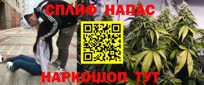 a pvp Тавда