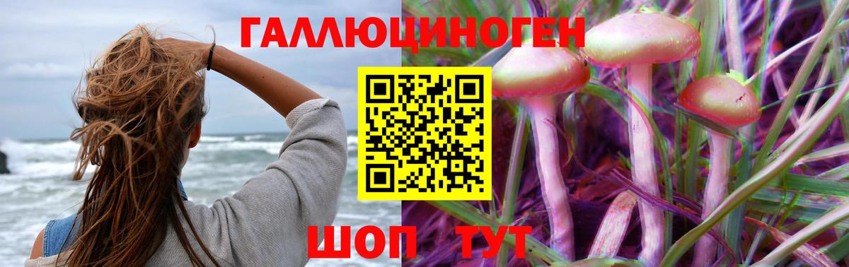 Галлюциногенные грибы Psilocybine cubensis  Вход с VPN  Галлюциногенные грибы MAGIC MUSHROOMS  Вичуга 